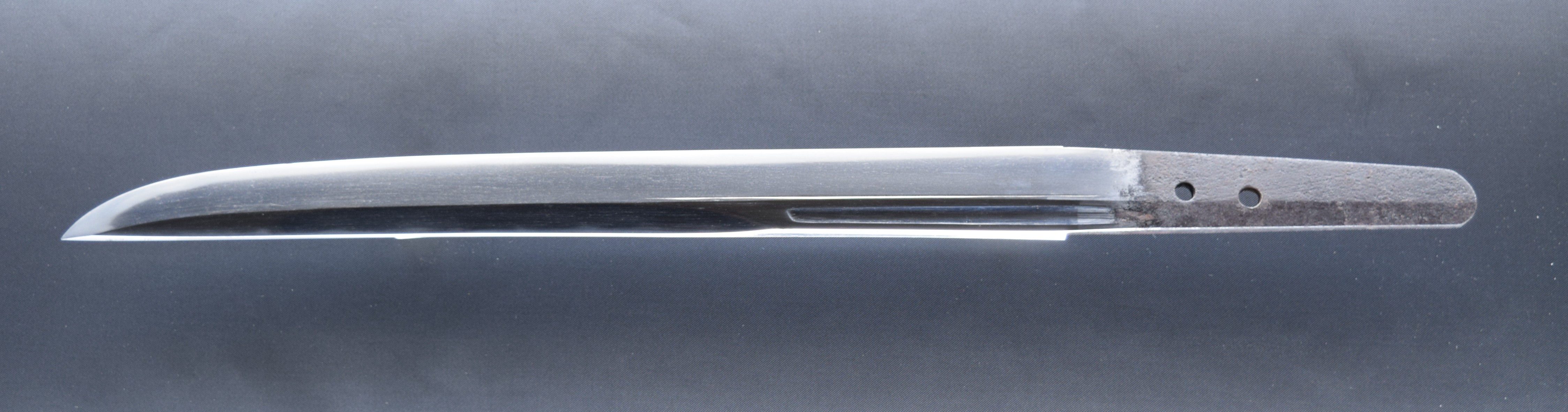 �����S�g��